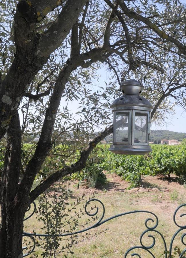Maison D'Hotes Le Mas Des Vignes Hotel Rochegude  Bagian luar foto
