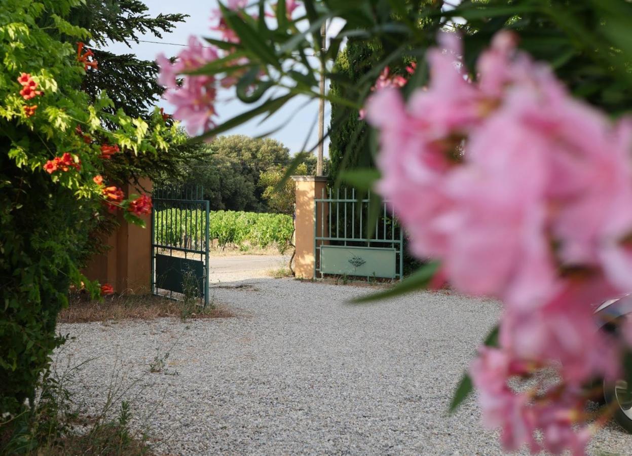 Maison D'Hotes Le Mas Des Vignes Hotel Rochegude  Bagian luar foto
