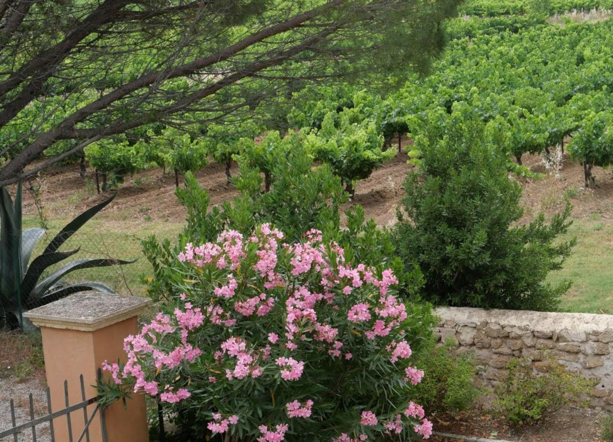 Maison D'Hotes Le Mas Des Vignes Hotel Rochegude  Bagian luar foto