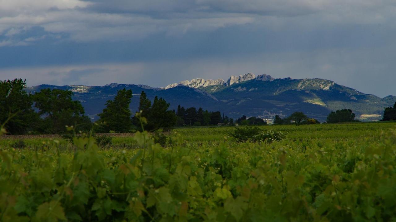 Maison D'Hotes Le Mas Des Vignes Hotel Rochegude  Bagian luar foto